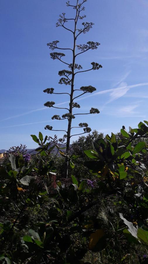 Vistas A Mar, En Paraje Natural La Herradura  Zewnętrze zdjęcie