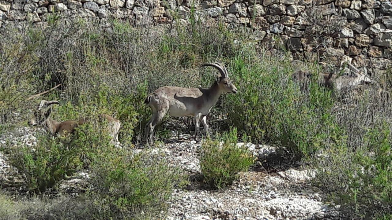 Vistas A Mar, En Paraje Natural La Herradura  Zewnętrze zdjęcie